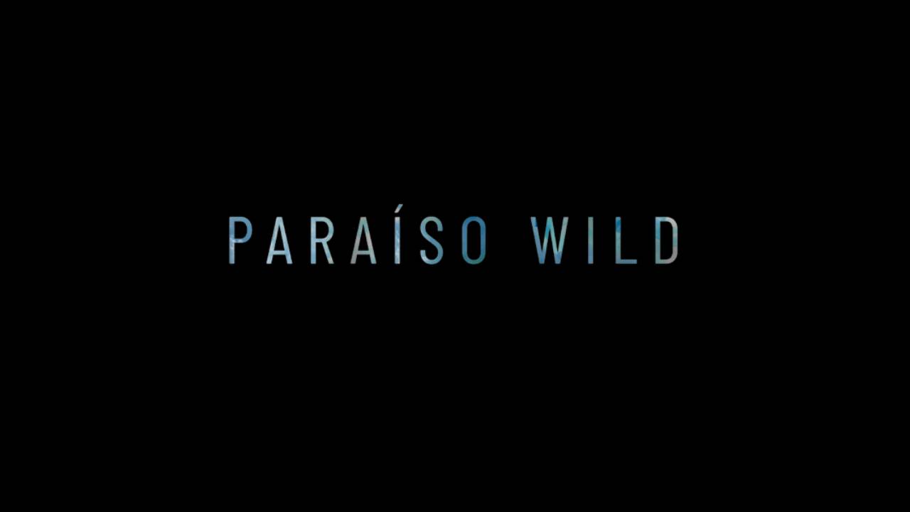 Paraíso Wild 