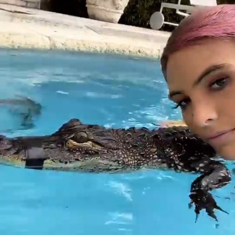 Lele Pons