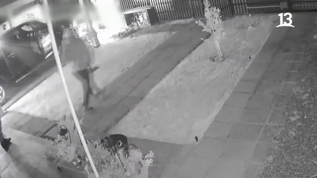 SOS: Imágenes muestran modus operandi de delincuentes que roban en domicilio