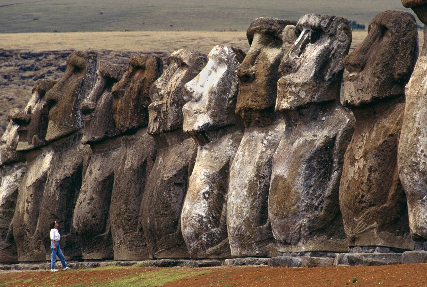 Rapa Nui