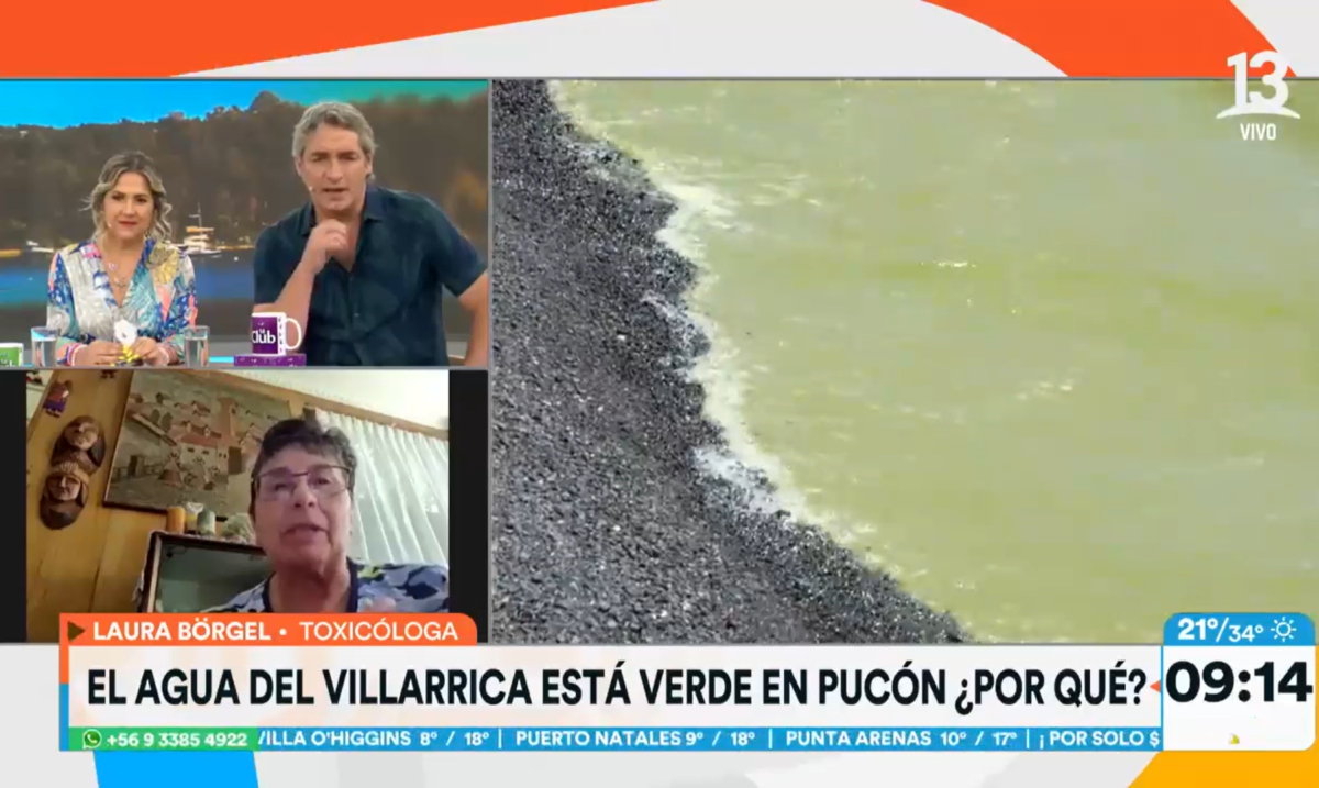 Explicación del agua verde del Lago Villarrica