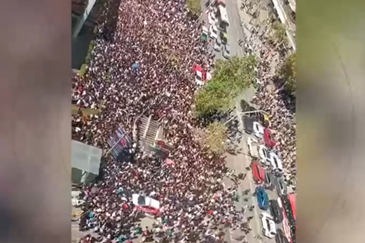 Caos en el Día del Tulipán