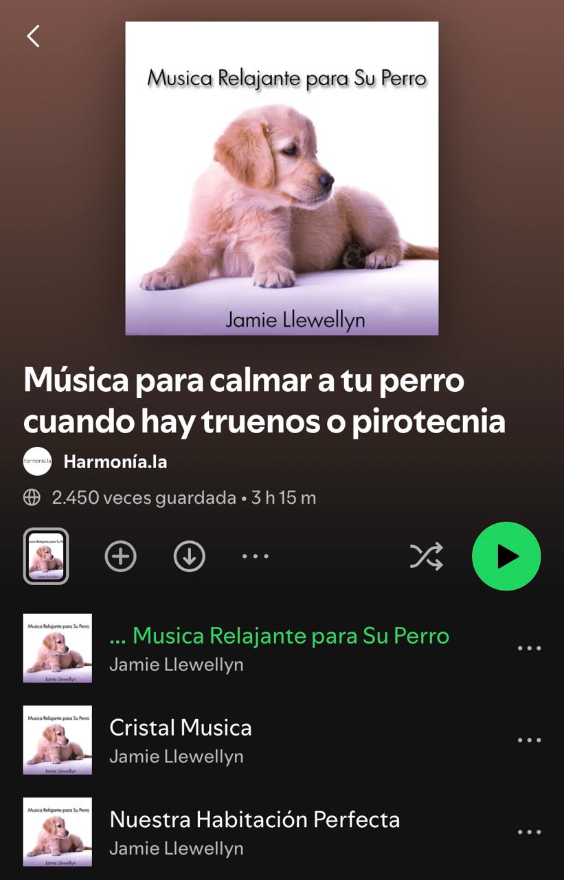 Lista de música para calmar a tu perro en Año Nuevo.