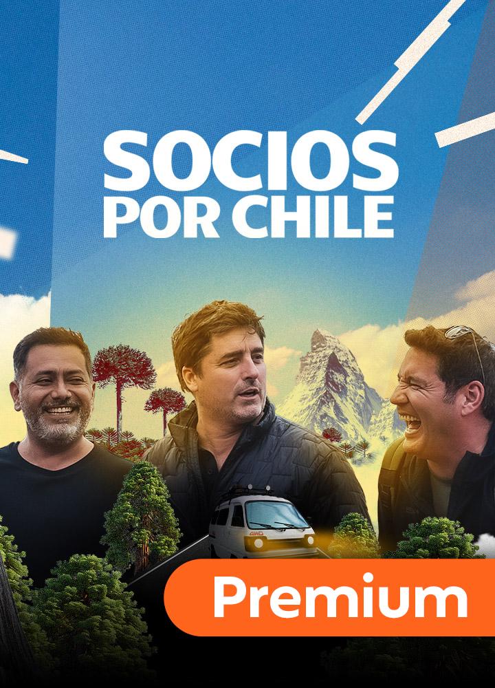 Socios por Chile