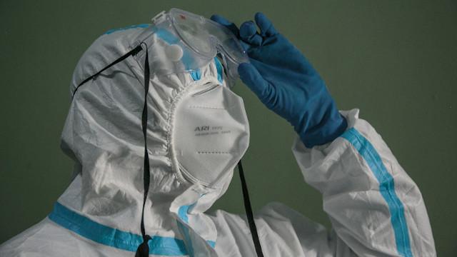 Muere el primer perro que dio positivo en prueba de coronavirus