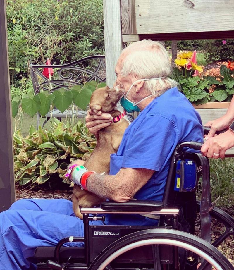 Perro salvó la vida de su dueño tras sufrir derrame cerebral