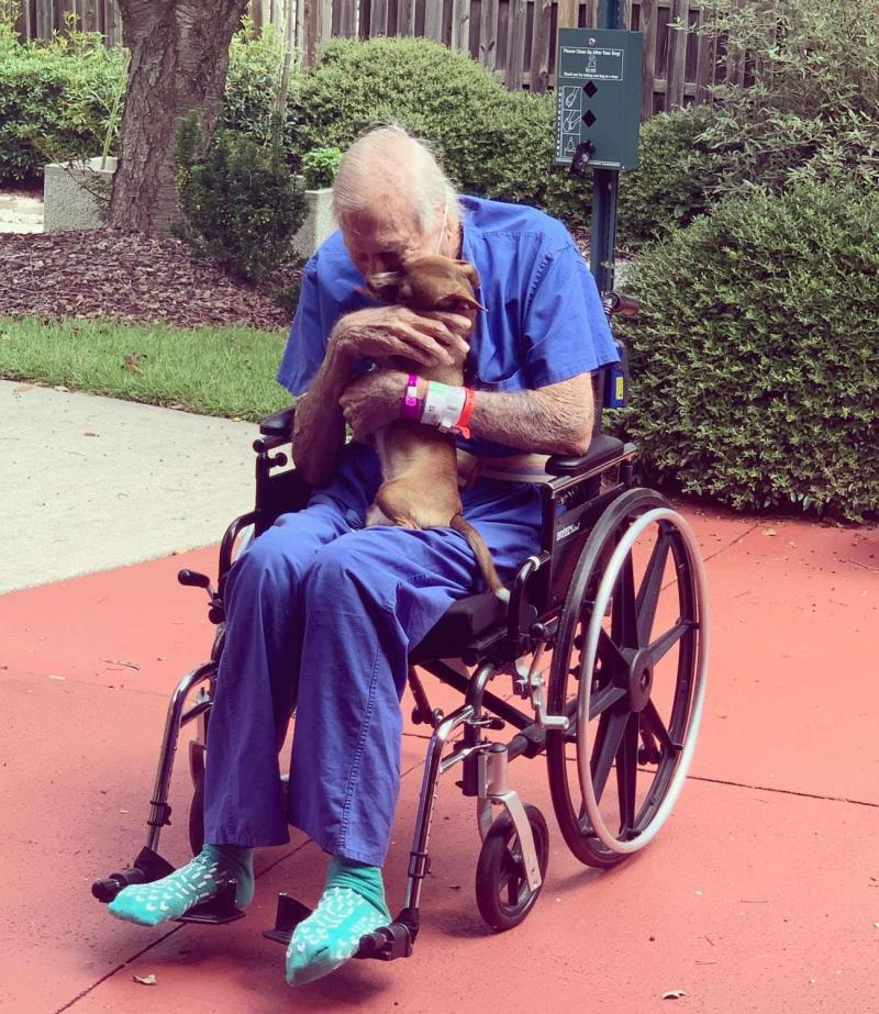 Perro salvó la vida de su dueño tras sufrir derrame cerebral