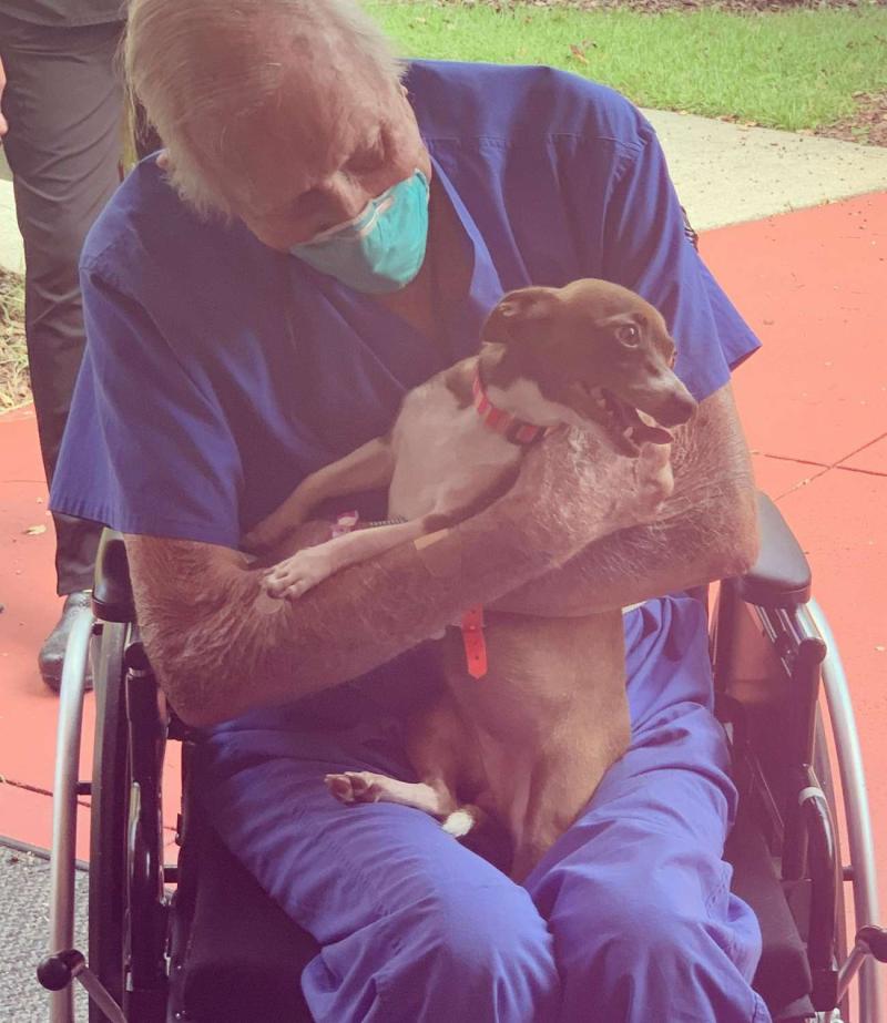 Perro salvó la vida de su dueño tras sufrir derrame cerebral