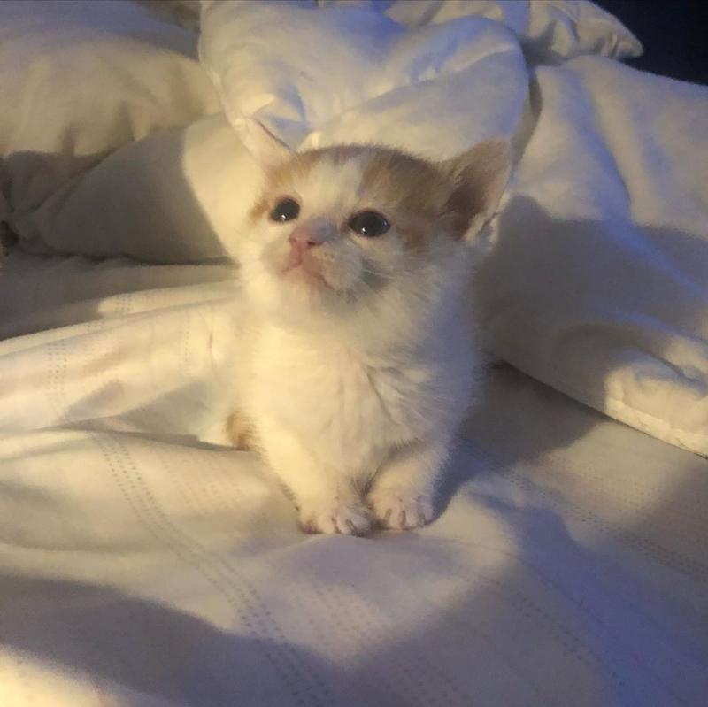 Vale Roth se acercó a sus papás gracias al pololo