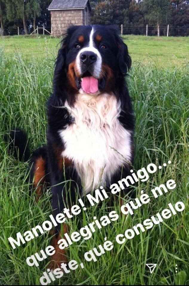 Amaro Gómez-Pablos enfrenta dura pérdida personal