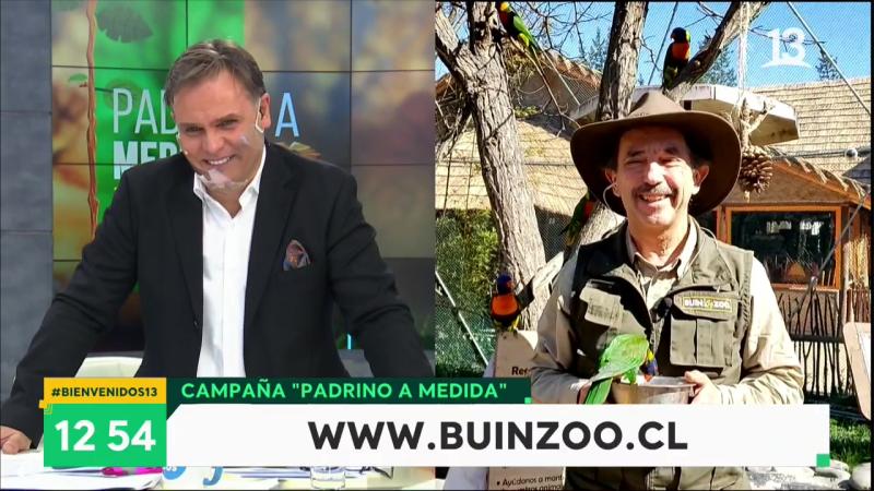 “Te vemos pajareando”: Móvil de Bienvenidos parte con chascarro