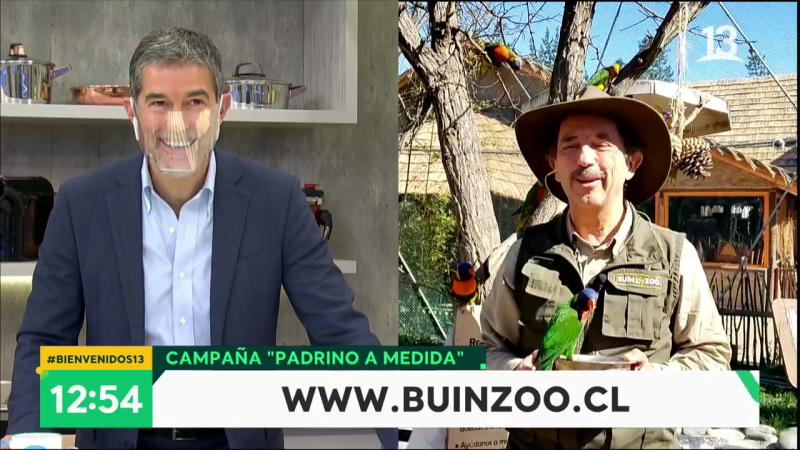 “Te vemos pajareando”: Móvil de Bienvenidos parte con chascarro