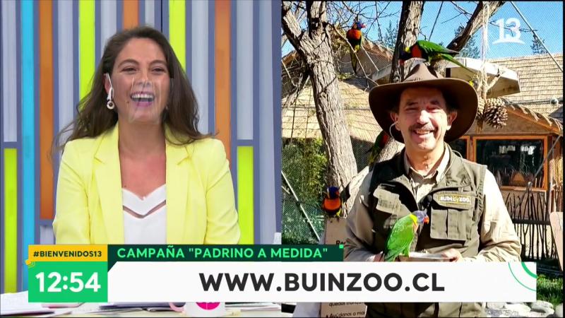 “Te vemos pajareando”: Móvil de Bienvenidos parte con chascarro