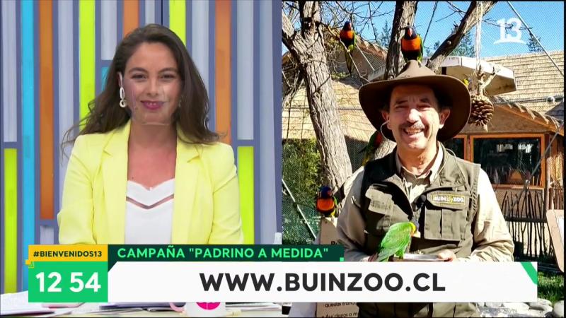 “Te vemos pajareando”: Móvil de Bienvenidos parte con chascarro