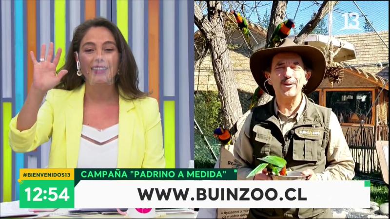 “Te vemos pajareando”: Móvil de Bienvenidos parte con chascarro