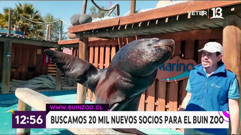 “Polo, compórtate”: La broma que Tonka Tomicic tuvo que explicar