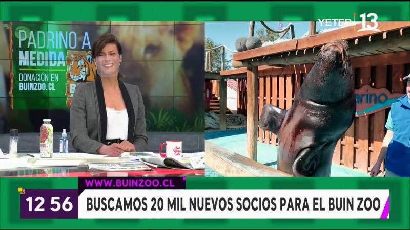 “Polo, compórtate”: La broma que Tonka Tomicic tuvo que explicar