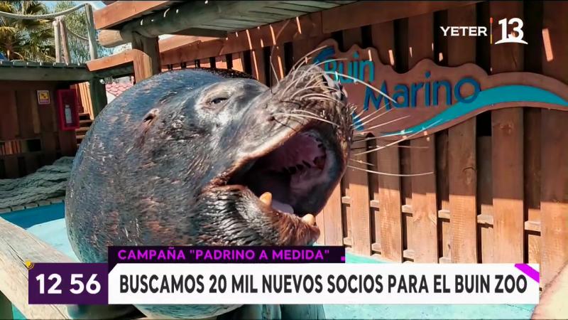 “Polo, compórtate”: La broma que Tonka Tomicic tuvo que explicar