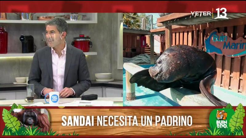 “Polo, compórtate”: La broma que Tonka Tomicic tuvo que explicar