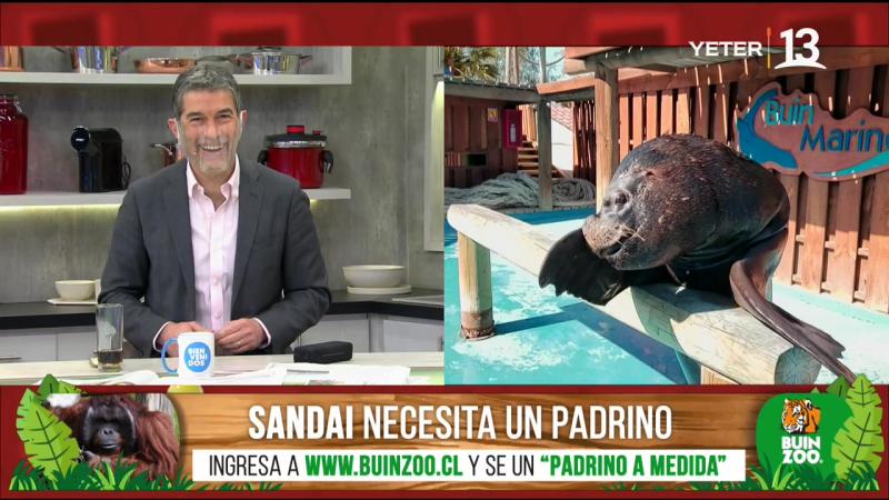 “Polo, compórtate”: La broma que Tonka Tomicic tuvo que explicar