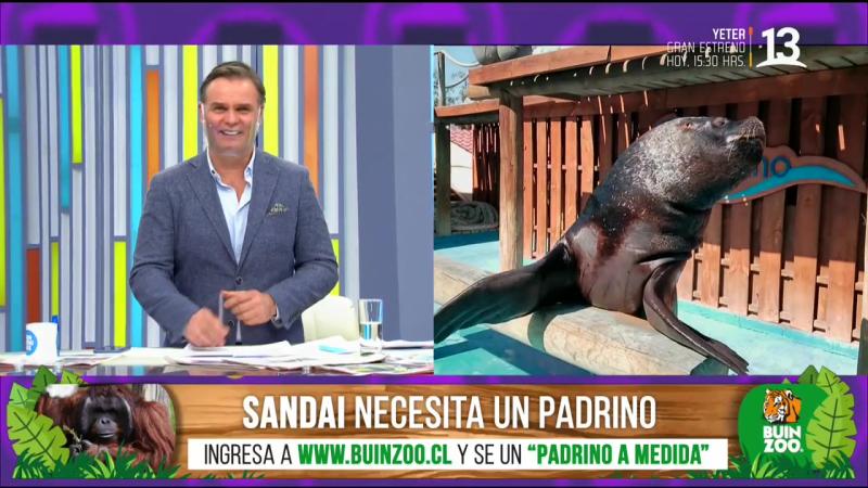 “Polo, compórtate”: La broma que Tonka Tomicic tuvo que explicar