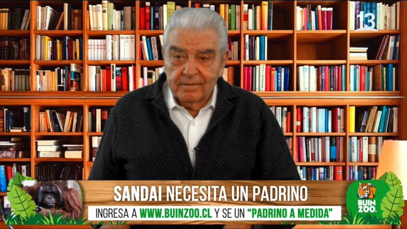 “Bienvenidos”: El impacto de Don Francisco por caso de mujer desaparecida