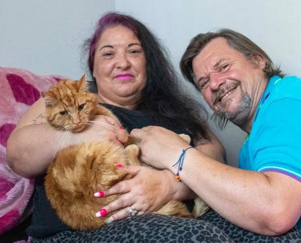 Gato recorrió 64 kilómetros para reencontrarse con sus dueños