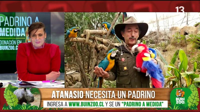 Campaña del Buin Zoo