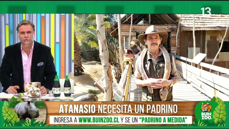 Campaña del Buin Zoo