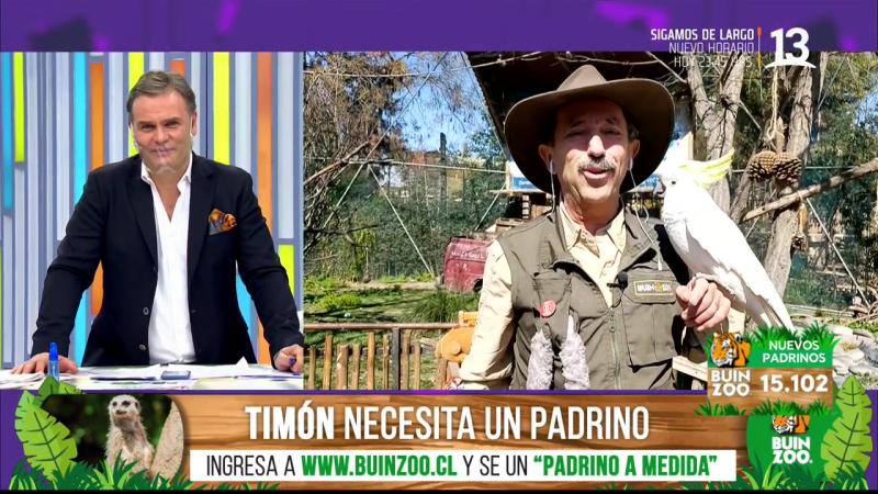 Polo conoce a su emplumado “doble” del Buin Zoo