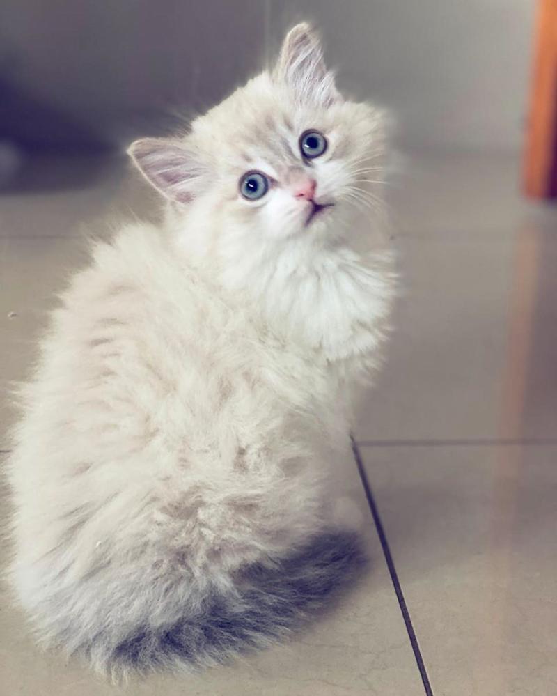 Maura Rivera y Mark González