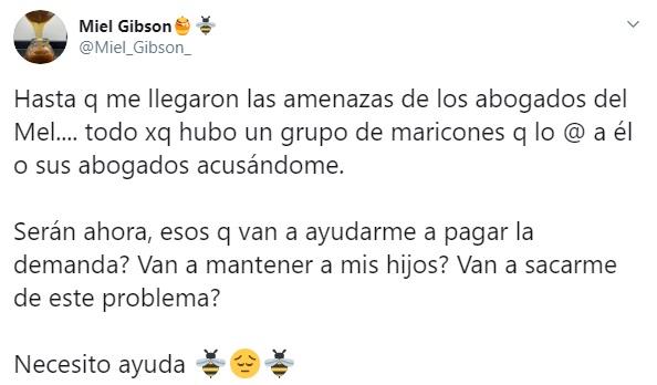 Mel Gibson demandaría a chilena por usar su nombre en una miel