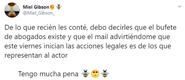 Mel Gibson demandaría a chilena por usar su nombre en una miel
