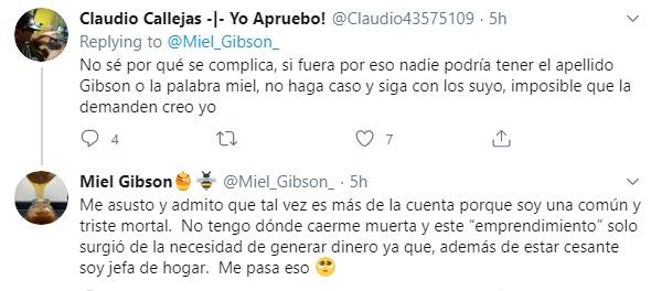 Mel Gibson demandaría a chilena por usar su nombre en una miel