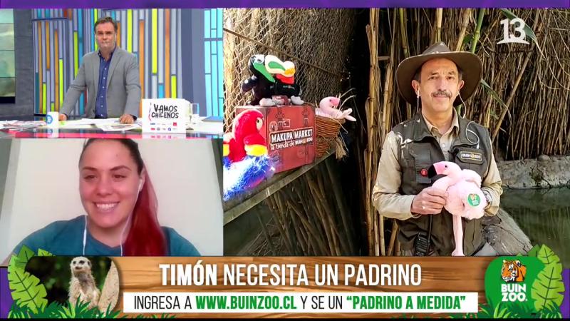 “Se sacan la…”: El chilenismo que Amaro Gómez-Pablos dijo en cámara