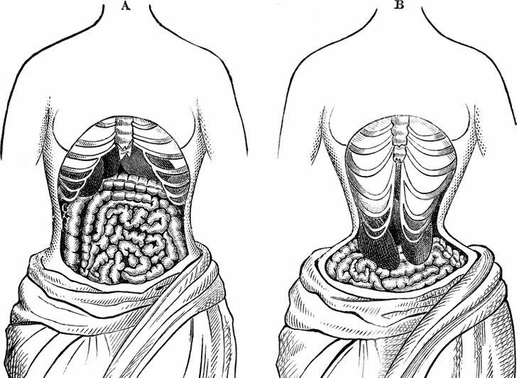 cintura en el pasado