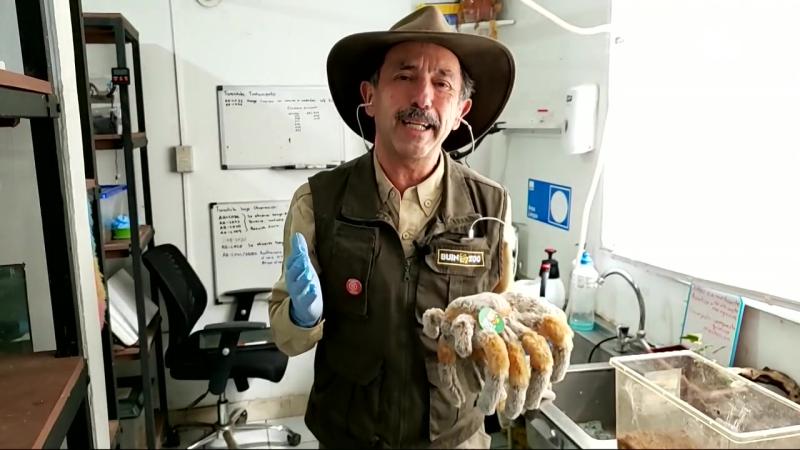 Conocimos el rincón más misterioso del Buin Zoo