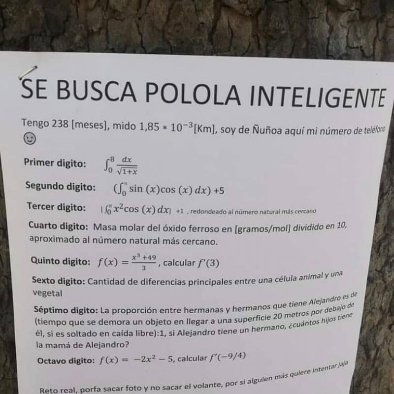 "Se busca polola inteligente"