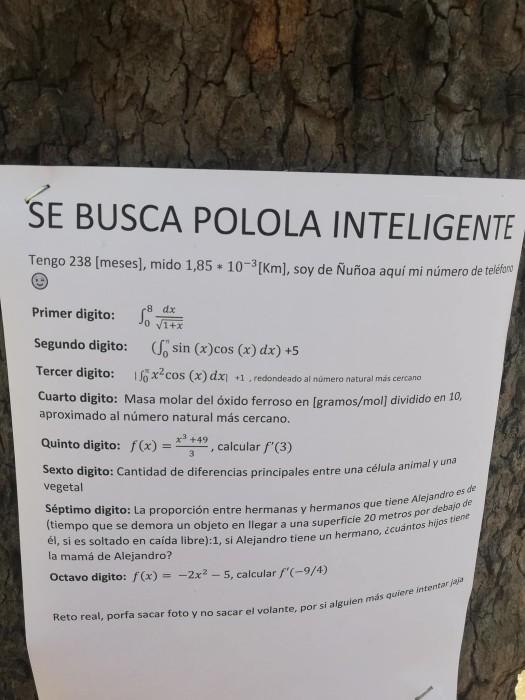 Joven de Ñuñoa busca “polola inteligente” con reto matemático