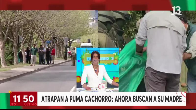 Lindorfo reaparece en la mañana de Canal 13 con aplaudido contacto