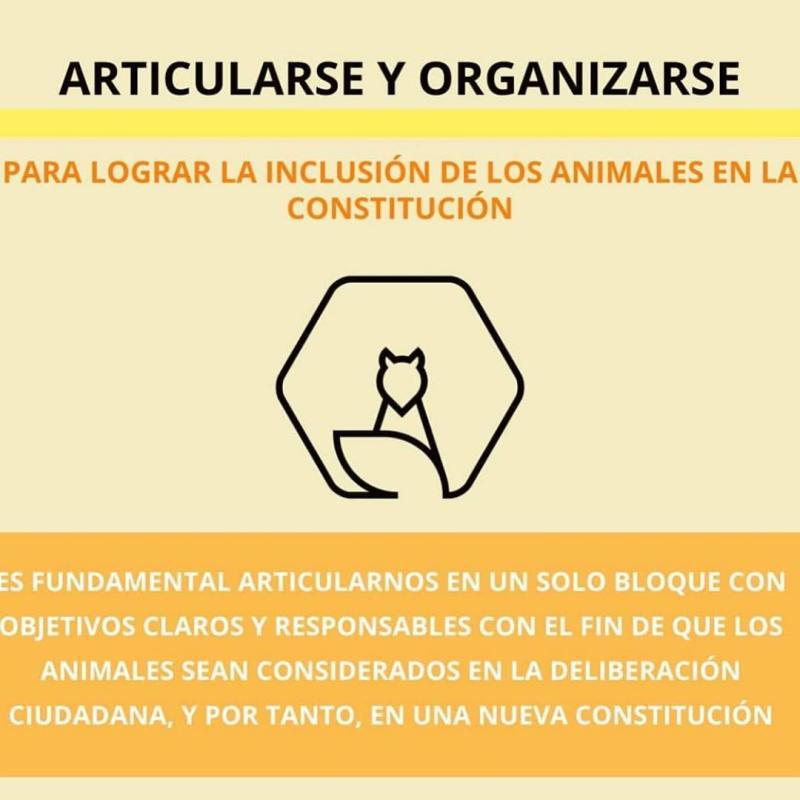 Adriana Barrientos revela opción en plebiscito con potente mensaje