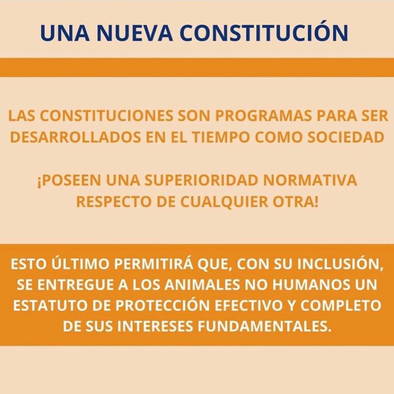 Adriana Barrientos revela opción en plebiscito con potente mensaje