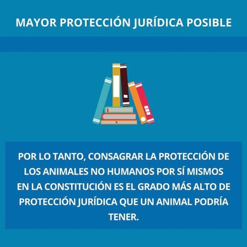 Adriana Barrientos revela opción en plebiscito con potente mensaje