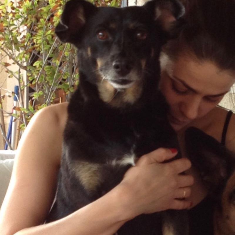 La intimidad de Tonka Tomicic: Contó el vínculo con sus mascotas