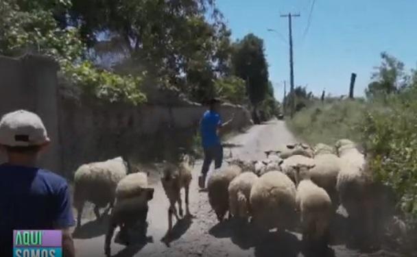 Niño emociona en Aquí somos todos: cuida a su papá con Parkinson