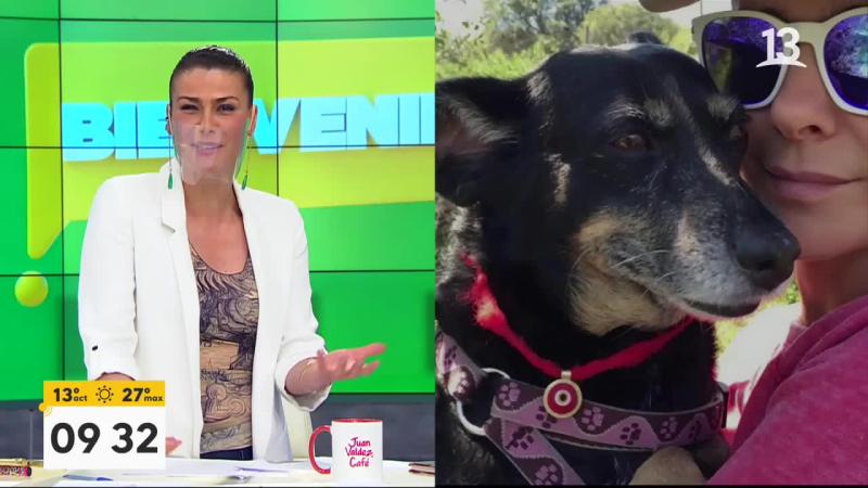 La intimidad de Tonka Tomicic: Contó el vínculo con sus mascotas