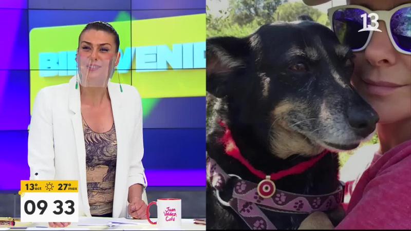 La intimidad de Tonka Tomicic: Contó el vínculo con sus mascotas