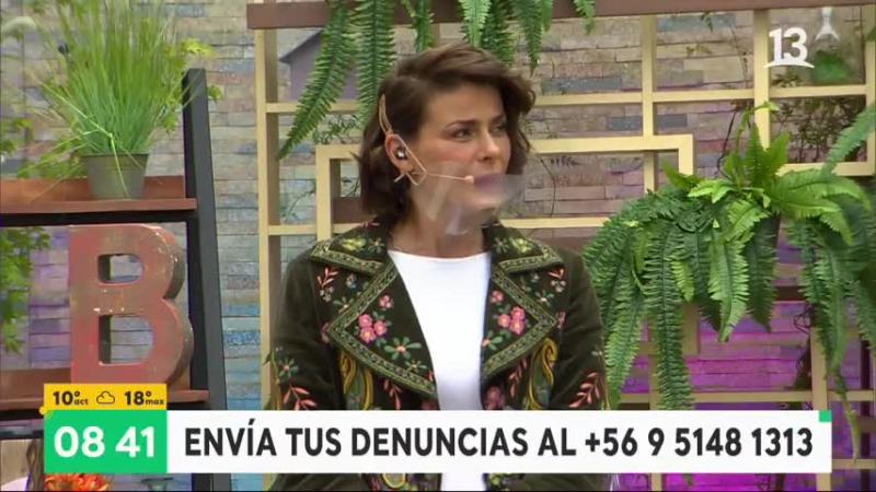 “Caí de lado…Me rasguñé”: El insólito accidente de Tonka Tomicic