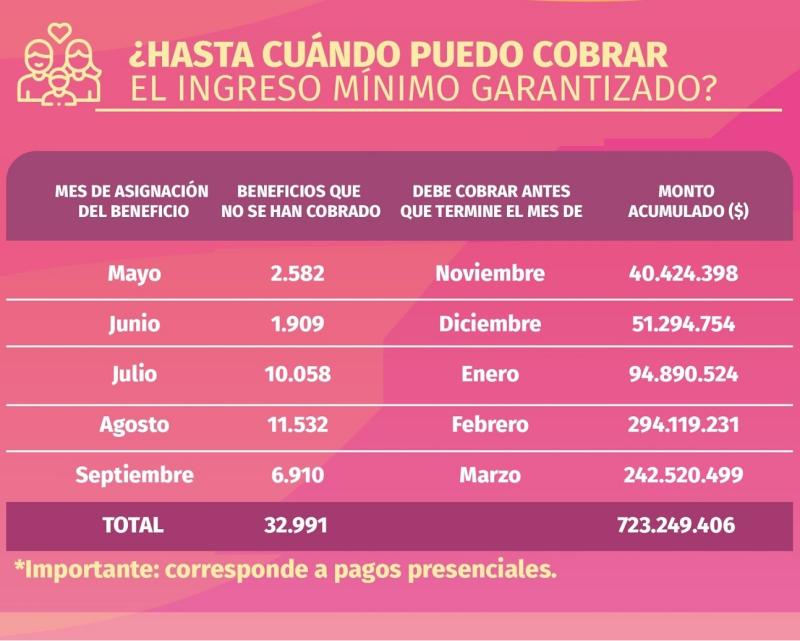 Subsidio Ingreso Mínimo Garantizado