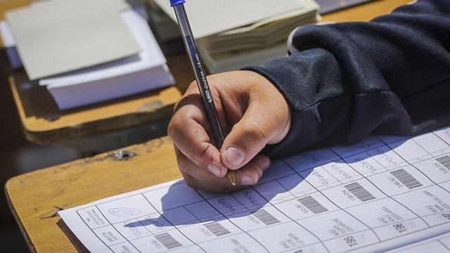 Elecciones Primarias